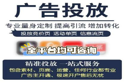 搜索引擎优化（SEO）与竞价广告（SEM）的对比案例